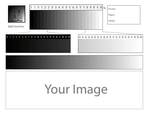 What Does Print in Grayscale Mean and Its Various Perspectives